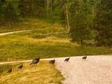 23276 Clear Creek Road - Photo 45