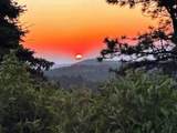 23276 Clear Creek Road - Photo 46