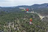 24452 Trackers Trail - Photo 6