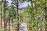24452 Trackers Trail - Photo 7