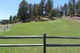 25293 Pilot Road - Photo 35