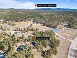 25293 Pilot Road - Photo 37