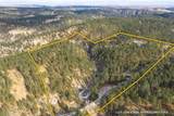 13646 Twisted Pines Trl - Photo 5
