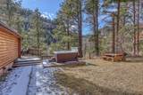 10624 Wildlife Lane - Photo 12