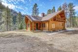 10624 Wildlife Lane - Photo 5
