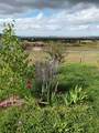 243 Maddison Ln - Photo 13