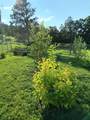 243 Maddison Ln - Photo 44