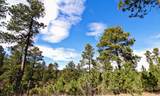 20788 Aspen Hollow Road - Photo 47