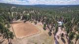 10255 Echo Valley Ct. - Photo 7