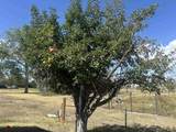 1104 C Street - Photo 3
