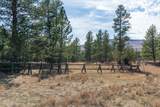 TBD Highway 16 - Photo 28
