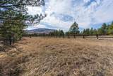 TBD Highway 16 - Photo 29