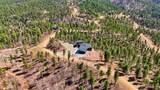 11246 Paradise Gulch Loop - Photo 40