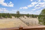 25278 Wittrock Road - Photo 44