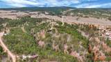 12752 Country View Road - Photo 36
