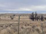 14227 Smithwick Road - Photo 11