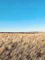 11864 Indian Canyon Road - Photo 32