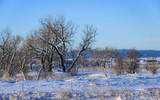 12981 193rd Street - Photo 18