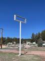 715 Mt. Rushmore Road - Photo 3