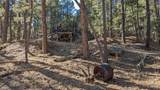 1201A Old Hill City Road - Photo 15