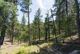 1201A Old Hill City Road - Photo 22