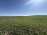  293rd Avenue - Photo 44