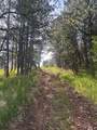 6521 Pendo Road - Photo 43