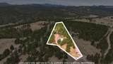 24427 Thovson Road - Photo 7