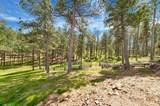 12364 Rose Place - Photo 24