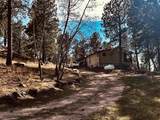 12127 Chickadee Lane - Photo 12