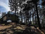 12127 Chickadee Lane - Photo 9