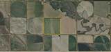 TBD Arpan Road - Photo 10