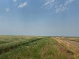 TBD Elm Springs Road - Photo 12