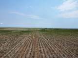 TBD Elm Springs Road - Photo 14