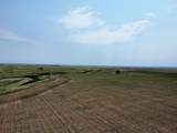 TBD Elm Springs Road - Photo 18