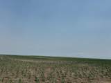 TBD Elm Springs Road - Photo 5