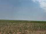 TBD Elm Springs Road - Photo 6