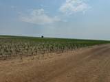 TBD Elm Springs Road - Photo 7