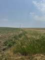 TBD Elm Springs Road - Photo 8