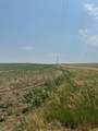 TBD Elm Springs Road - Photo 9