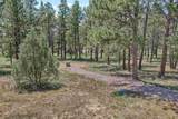 25555 Harriett Ward Road - Photo 19