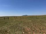 2323 Highway 585 - Photo 15