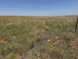 2323 Highway 585 - Photo 17