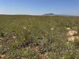 2323 Highway 585 - Photo 17