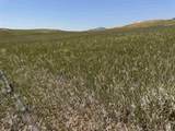 2323 Highway 585 - Photo 21
