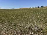 2323 Highway 585 - Photo 22