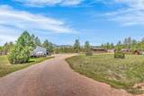 10297 Timber Trail - Photo 7