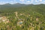 21621 High Country Loop - Photo 4