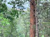 TBD Timberline Road - Photo 10