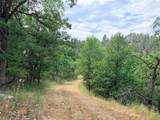 TBD Timberline Road - Photo 2